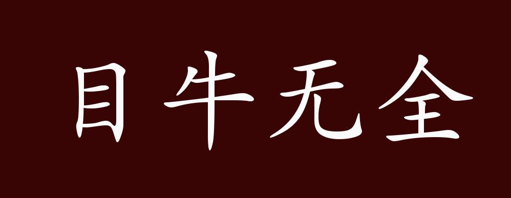 成语目无全牛的故事（成浯目无全牛）