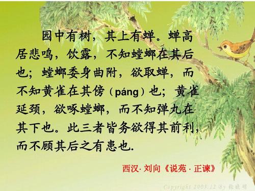 螳螂捕蝉是什么意思,螳螂捕蝉是什么意思什么肖-第8张图片-文史 螳螂捕蝉是什么意思,螳螂捕蝉是什么意思什么肖-第8张图片-文史
