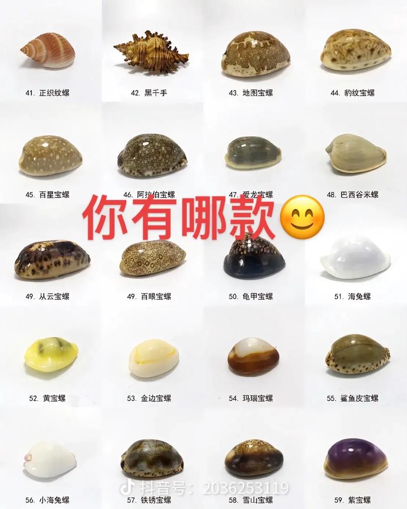 真是千奇百怪,千奇百怪的什么?填空-第3张图片-文史 真是千奇百怪,千奇百怪的什么?填空-第3张图片-文史