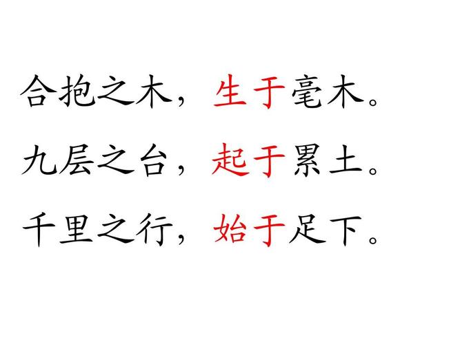 关于行将就木的故事,行将就木的成语解释-第3张图片-文史 关于行将就木的故事,行将就木的成语解释-第3张图片-文史