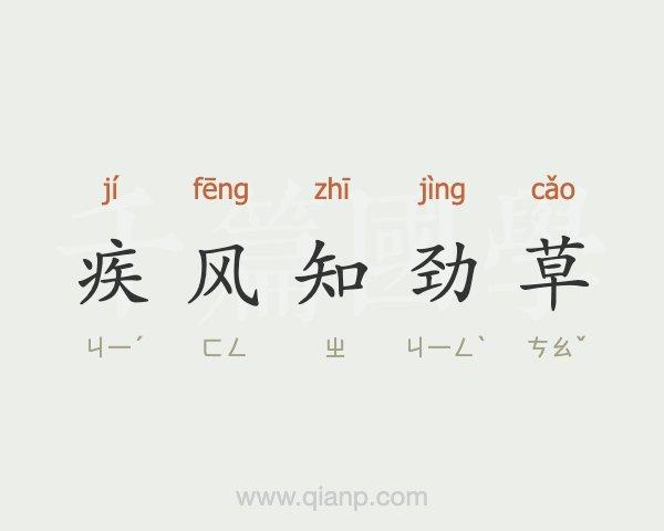 疾风劲草有什么历史典故(疾风劲草给你带来了哪些体验?)-第3张图片-文史 疾风劲草有什么历史典故(疾风劲草给你带来了哪些体验?)-第3张图片-文史