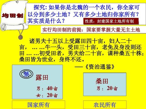 府兵制与均田制是怎么发展起来的(均田制租庸调制府兵制募兵制之间的关系是什么?)-第5张图片-文史 府兵制与均田制是怎么发展起来的(均田制租庸调制府兵制募兵制之间的关系是什么?)-第5张图片-文史