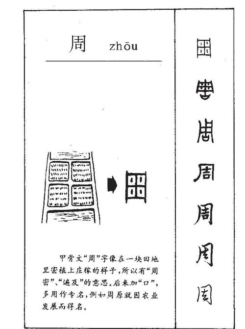 揭周族的起源与先周世系（周族的祖先曾任夏的长官）