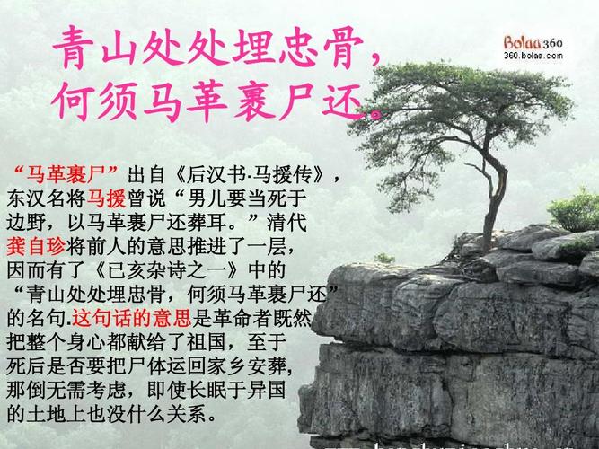 成语马革裹尸的中的历史人物是谁,马革裹尸的成语典故