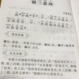 朝三暮四出自哪个典故(朝三暮四出自什么故事)-第2张图片-文史 朝三暮四出自哪个典故(朝三暮四出自什么故事)-第2张图片-文史