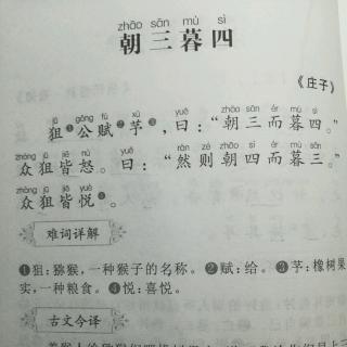 朝三暮四出自哪个典故(朝三暮四出自什么故事)-第7张图片-文史 朝三暮四出自哪个典故(朝三暮四出自什么故事)-第7张图片-文史