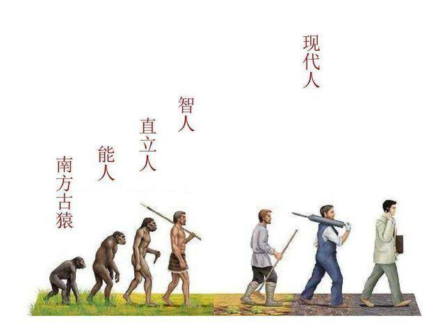 人类是怎么进化的(人类是怎么进化的介绍一下)-第5张图片-文史 人类是怎么进化的(人类是怎么进化的介绍一下)-第5张图片-文史