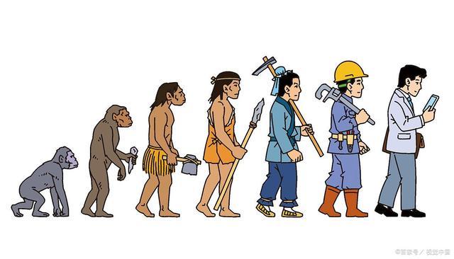 人类是怎么进化的(人类是怎么进化的介绍一下)-第8张图片-文史 人类是怎么进化的(人类是怎么进化的介绍一下)-第8张图片-文史