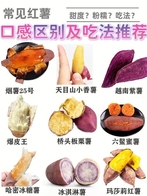关于白薯的叫法,白薯还叫什么-第4张图片-文史 关于白薯的叫法,白薯还叫什么-第4张图片-文史