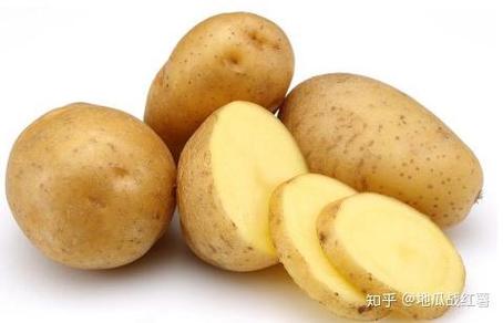 关于白薯的叫法,白薯还叫什么-第8张图片-文史 关于白薯的叫法,白薯还叫什么-第8张图片-文史