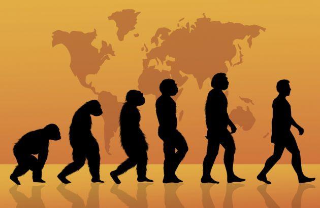 十五个问题看人类进化的谜团,人类进化疑点-第4张图片-文史 十五个问题看人类进化的谜团,人类进化疑点-第4张图片-文史