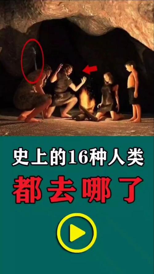 十五个问题看人类进化的谜团,人类进化疑点-第5张图片-文史 十五个问题看人类进化的谜团,人类进化疑点-第5张图片-文史