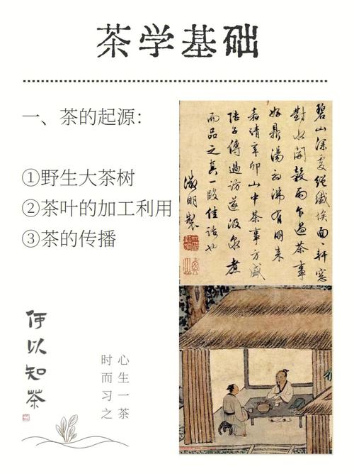 茶的第一发现者是谁,相传谁是第一个发现茶的人