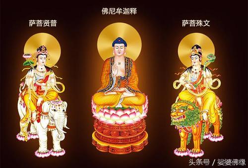 与释迦牟尼佛有什么关系(释迦牟尼与佛教)-第3张图片-文史 与释迦牟尼佛有什么关系(释迦牟尼与佛教)-第3张图片-文史