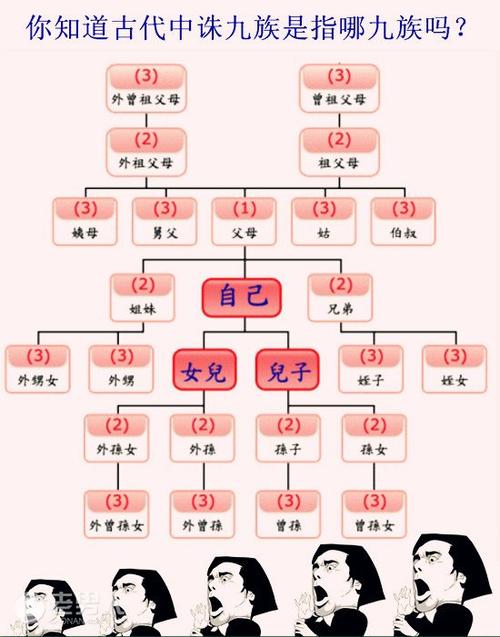 株九族是要杀多少人(株九族指的是哪九族)-第4张图片-文史 株九族是要杀多少人(株九族指的是哪九族)-第4张图片-文史