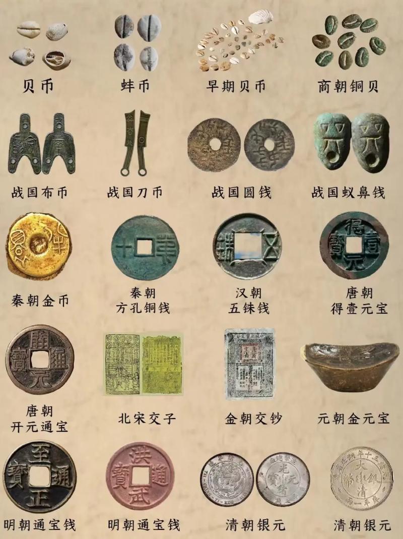 商朝的货币:商朝时期有多少种货币可以使用(商朝的货币长什么样)-第2张图片-文史 商朝的货币:商朝时期有多少种货币可以使用(商朝的货币长什么样)-第2张图片-文史