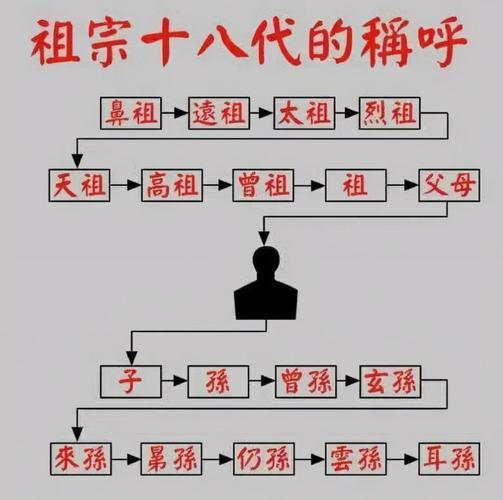 关于祖宗十八代（关于祖宗十八代的视频）