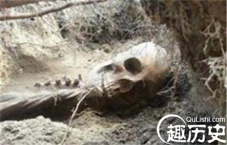 吕布是被谁杀死的,吕布是被谁杀死的视频-第6张图片-文史 吕布是被谁杀死的,吕布是被谁杀死的视频-第6张图片-文史