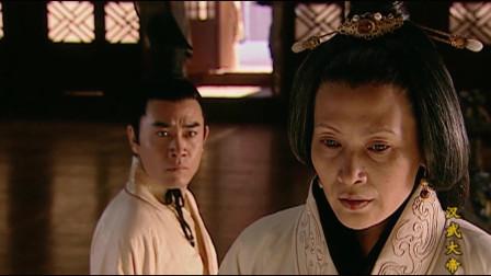 汉武帝的母亲是谁,汉武帝母亲来历