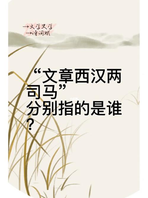 文章西汉两司马的“文章”和“两司马”指什么,文章西汉两司马指的是什么和什么-第3张图片-文史 文章西汉两司马的“文章”和“两司马”指什么,文章西汉两司马指的是什么和什么-第3张图片-文史