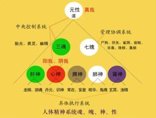 天夺之魄有什么历史典故(天夺之魄有什么历史典故吗)-第7张图片-文史 天夺之魄有什么历史典故(天夺之魄有什么历史典故吗)-第7张图片-文史