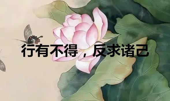 成语反求诸己的主人公是谁,反求诸己的反例