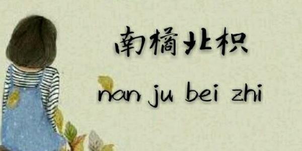 南柯一梦的含义(南柯一梦,是什么意思)-第8张图片-文史 南柯一梦的含义(南柯一梦,是什么意思)-第8张图片-文史