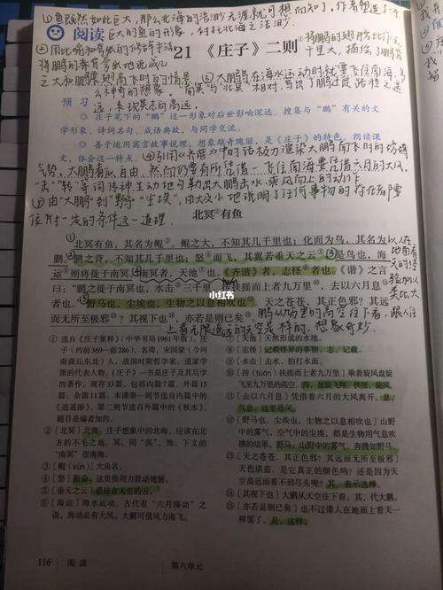 城狐社鼠有何典故(城狐社鼠指的是什么动物)-第2张图片-文史 城狐社鼠有何典故(城狐社鼠指的是什么动物)-第2张图片-文史