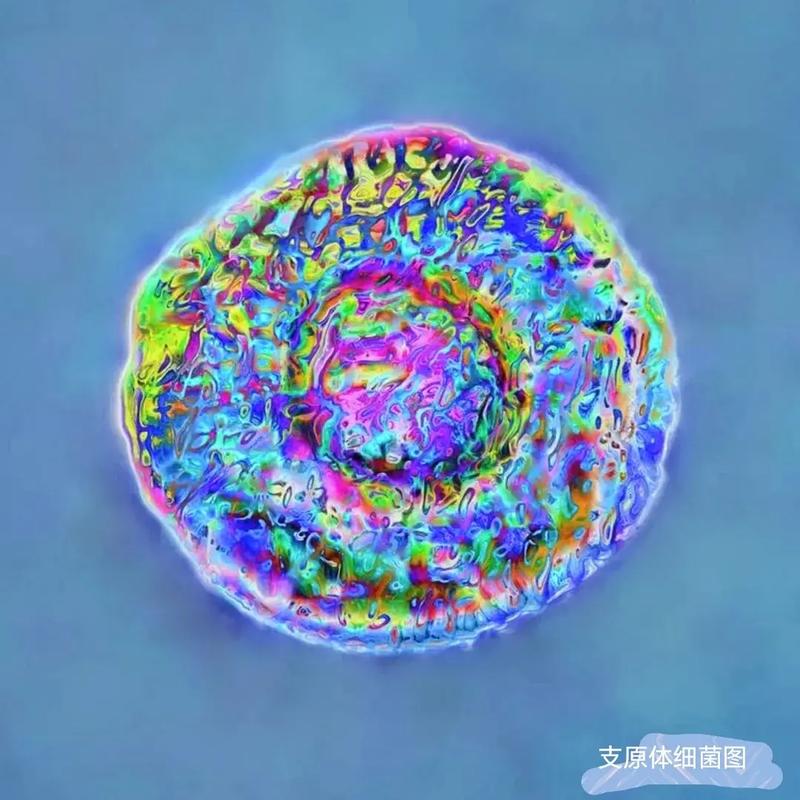 其有何区别,其和之的区别-第1张图片-文史 其有何区别,其和之的区别-第1张图片-文史