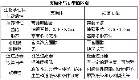 其有何区别,其和之的区别-第4张图片-文史 其有何区别,其和之的区别-第4张图片-文史