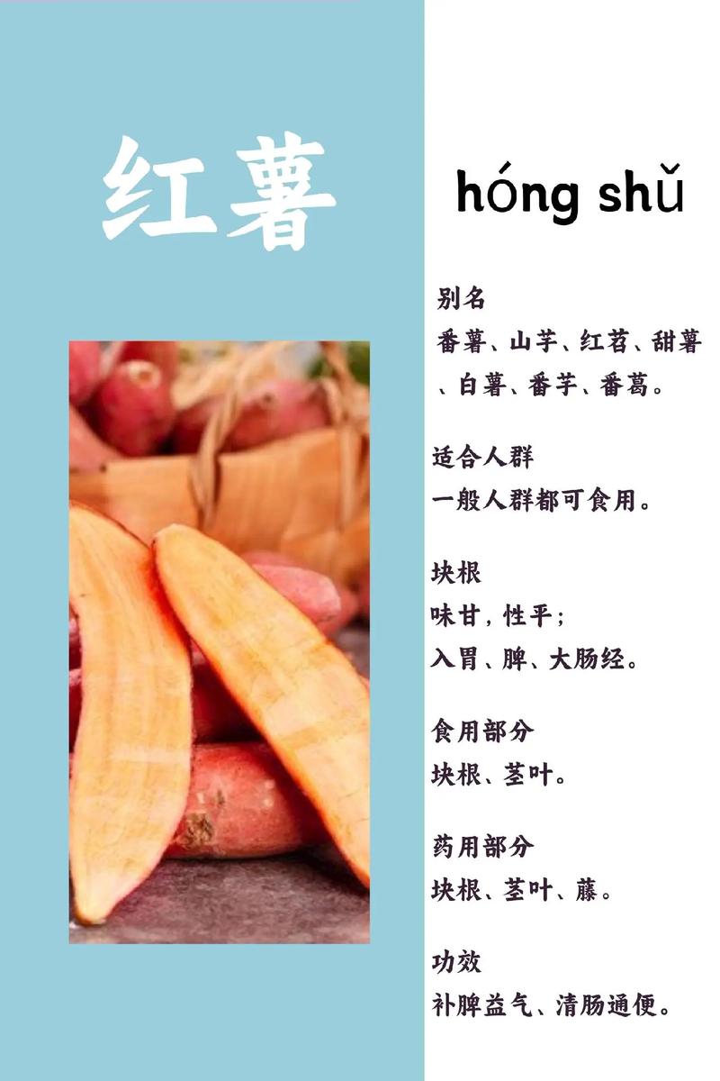 白薯为什么又称“红苕”,红薯也叫白薯-第5张图片-文史 白薯为什么又称“红苕”,红薯也叫白薯-第5张图片-文史