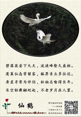 爱鹤失众的主人公是谁(爱鹤失众是什么动物)-第1张图片-文史 爱鹤失众的主人公是谁(爱鹤失众是什么动物)-第1张图片-文史