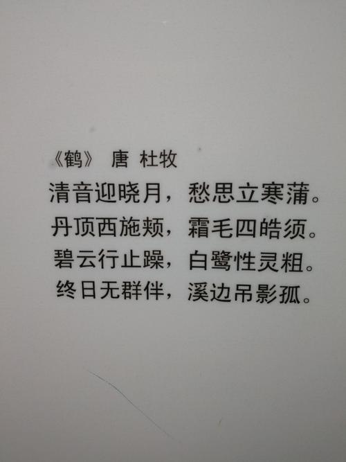 爱鹤失众的主人公是谁(爱鹤失众是什么动物)-第8张图片-文史 爱鹤失众的主人公是谁(爱鹤失众是什么动物)-第8张图片-文史