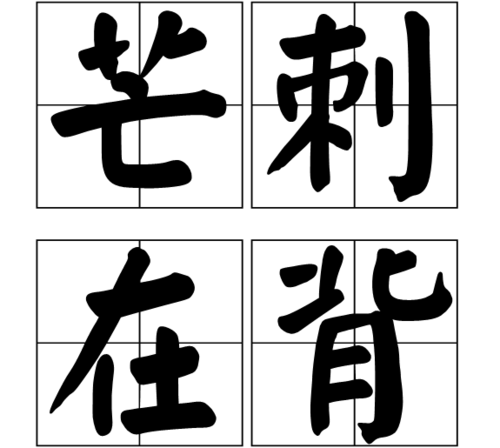 芒刺在背这个成语故事中的主人公是谁(芒刺在背的故事简写)-第7张图片-文史 芒刺在背这个成语故事中的主人公是谁(芒刺在背的故事简写)-第7张图片-文史