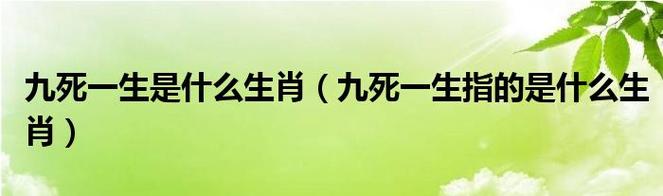 三折其肱是什么生肖（三折肱出处）