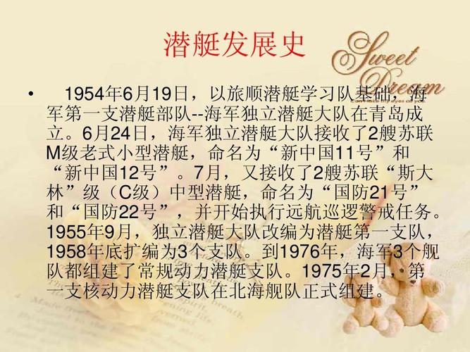 清朝北洋海军成军史介绍（清朝的北洋海军）