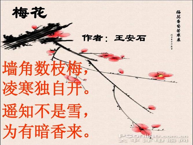 成语梅开二度,成语梅开二度的用法-第8张图片-文史 成语梅开二度,成语梅开二度的用法-第8张图片-文史