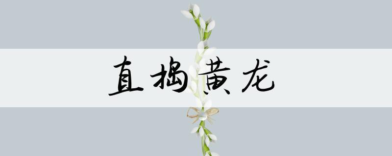 直捣黄龙有什么历史典故(直捣黄龙出自哪里)-第3张图片-文史 直捣黄龙有什么历史典故(直捣黄龙出自哪里)-第3张图片-文史
