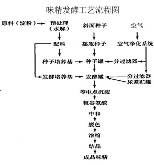 味精是谁发明的(味精是谁发明的?)-第3张图片-文史 味精是谁发明的(味精是谁发明的?)-第3张图片-文史