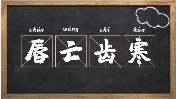 成语唇亡齿寒的意思,唇亡齿寒成语的典故-第7张图片-文史 成语唇亡齿寒的意思,唇亡齿寒成语的典故-第7张图片-文史