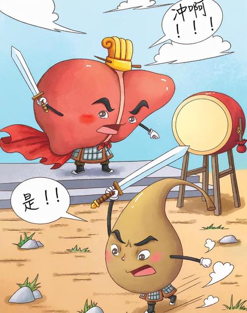 肝胆相照是什么意思(肝胆相照医学角度解释)-第2张图片-文史 肝胆相照是什么意思(肝胆相照医学角度解释)-第2张图片-文史