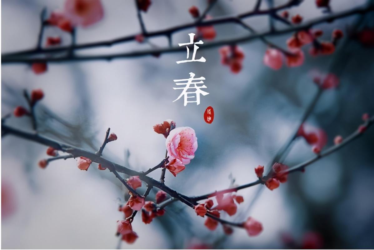 关于"立春"解读,立春的深层意义-第6张图片-文史 关于"立春"解读,立春的深层意义-第6张图片-文史