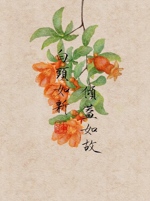 白头如新有什么历史典故,白头如新是什么意思啊-第4张图片-文史 白头如新有什么历史典故,白头如新是什么意思啊-第4张图片-文史