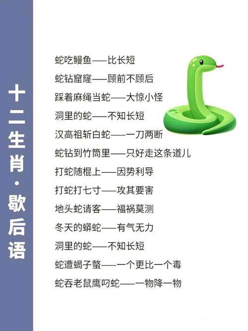 十二生肖歇后语大全(十二生肖歇后语大全及答案填写)-第4张图片-文史 十二生肖歇后语大全(十二生肖歇后语大全及答案填写)-第4张图片-文史