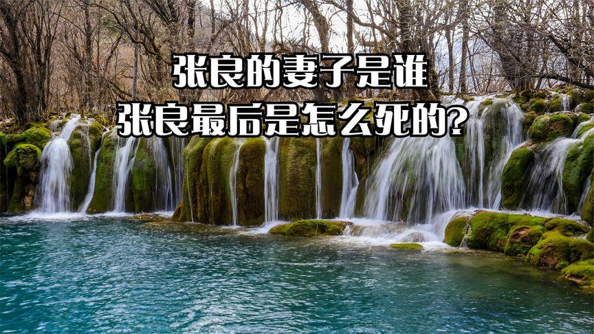 张良是怎么死的,张良之死的原因-第2张图片-文史 张良是怎么死的,张良之死的原因-第2张图片-文史