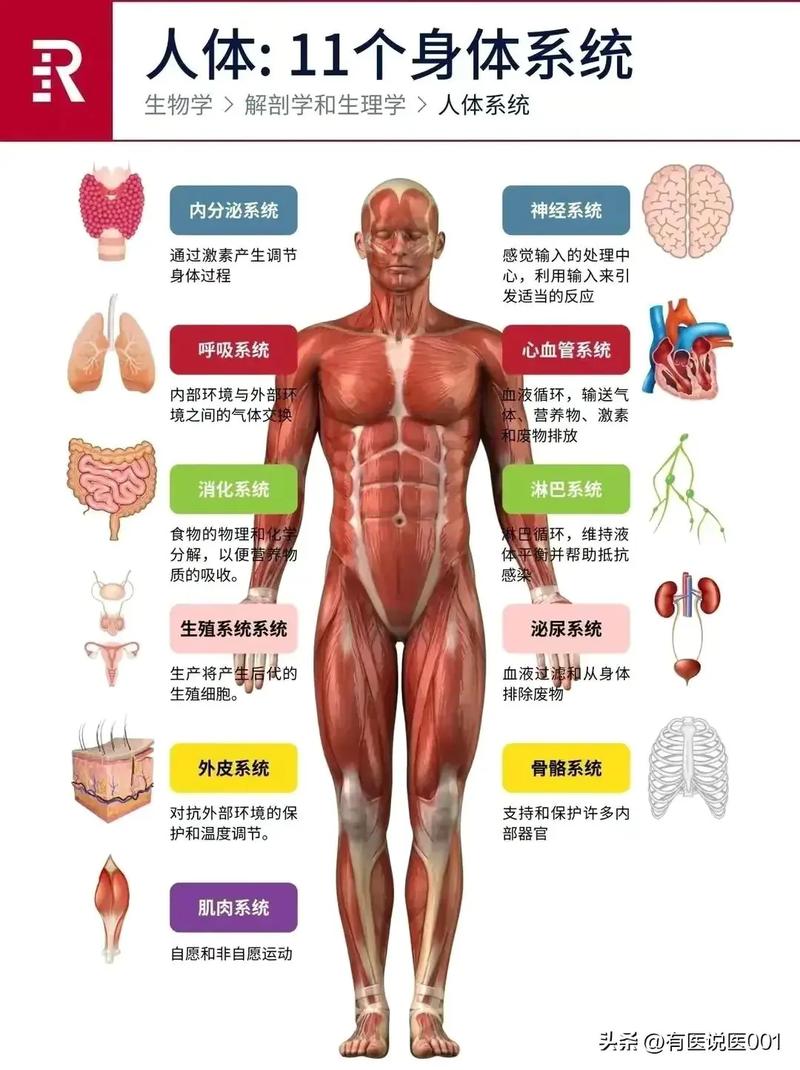 其名称叫什么(其名是什么意思?)-第3张图片-文史 其名称叫什么(其名是什么意思?)-第3张图片-文史