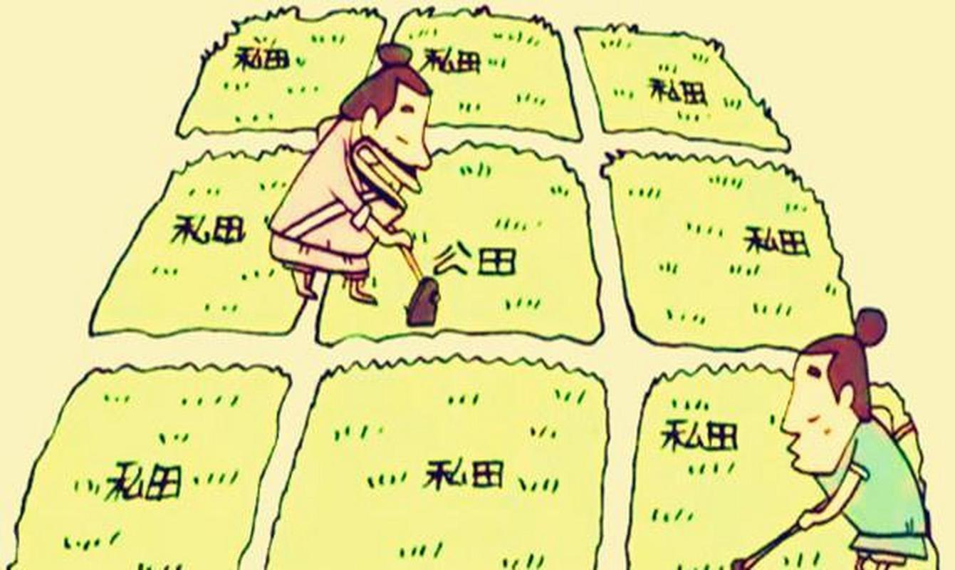 西周的井田制有啥特点,西周井田制的意义-第3张图片-文史 西周的井田制有啥特点,西周井田制的意义-第3张图片-文史