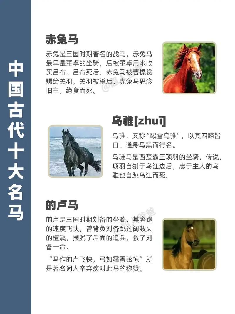 穆王八骏是哪八骏（穆王八骏典故）