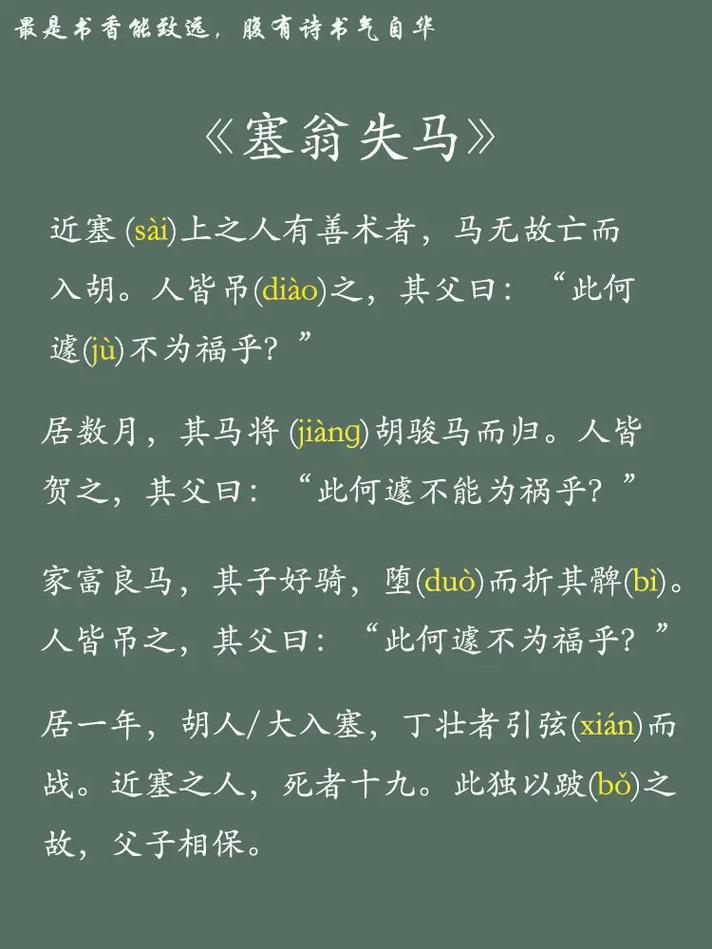 塞翁失马是什么意思(塞翁失马原文及翻译)-第4张图片-文史 塞翁失马是什么意思(塞翁失马原文及翻译)-第4张图片-文史
