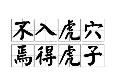 不探虎穴,焉得虎子出自哪里又有什么典故(且不探虎子,安得虎子)-第5张图片-文史 不探虎穴,焉得虎子出自哪里又有什么典故(且不探虎子,安得虎子)-第5张图片-文史